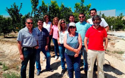 SP Soluciones Agrícolas mejora sus capacidades en el tratamiento de cítricos