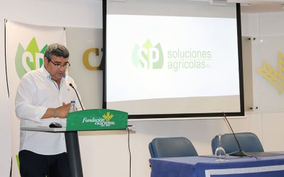 SP Soluciones Agrícolas expone sus posibilidades de producción de tarrinas de cartón para frutos rojos