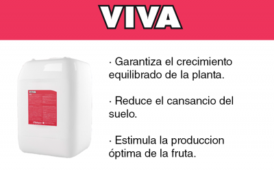 Una nueva energía para las plantas de fresa desde el suelo